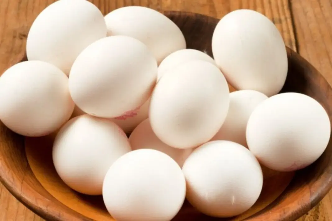 Viral Egg Test Claims Busted