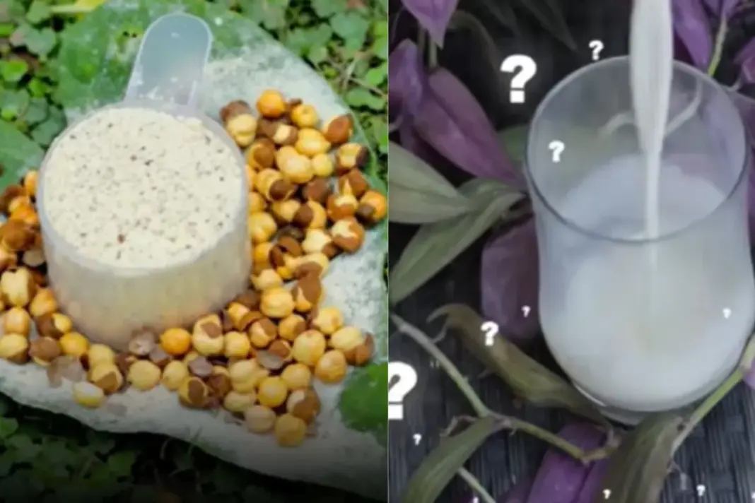 best alternative of eggs for protein