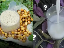 Best Egg Alternative For Protein: Why To Compromise On Cholesterol? 6 Vegetarian Foods That Can Give Eggs A Run For Their Money best alternative of eggs for protein