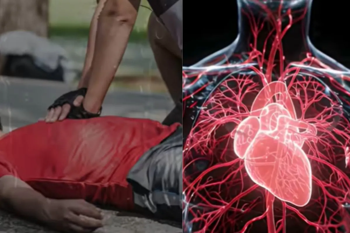 Heart Attacks Heart Attacks