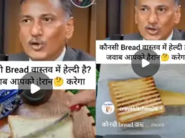 Which Bread Is Healthy For You? Check What Expert Has To Say About It? Bread