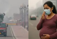 Delhi Pollution: From Sperm to Embryo, Is Polluted Air Attacking Every Stage of Life Before Birth? Impact Explained delhi pollution