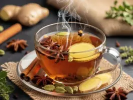 Central Nervous System