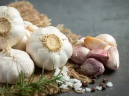Garlic