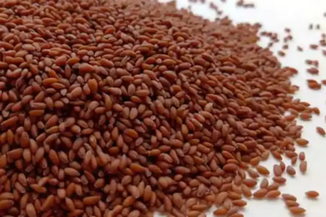 Haleem Seeds