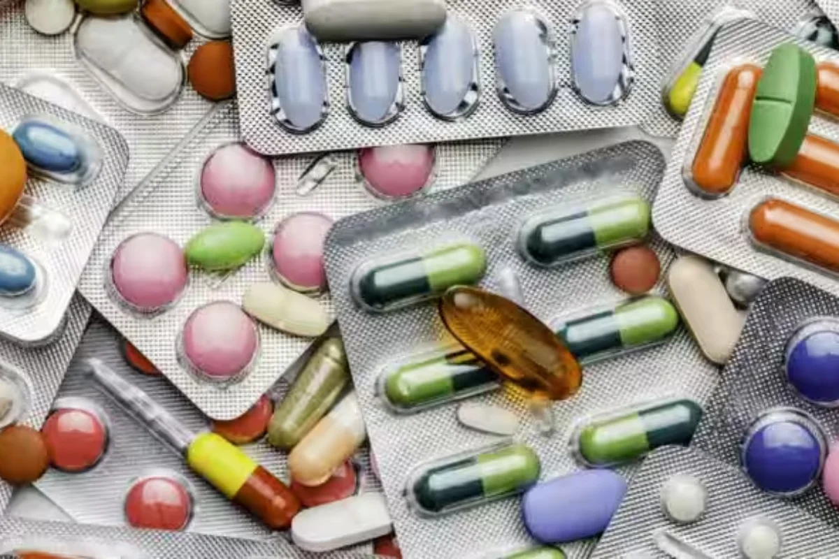 Haryana News Haryana News