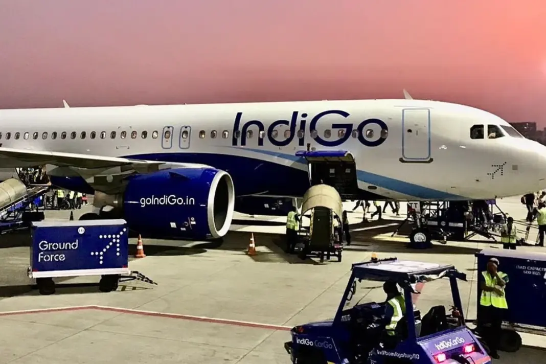 Indigo