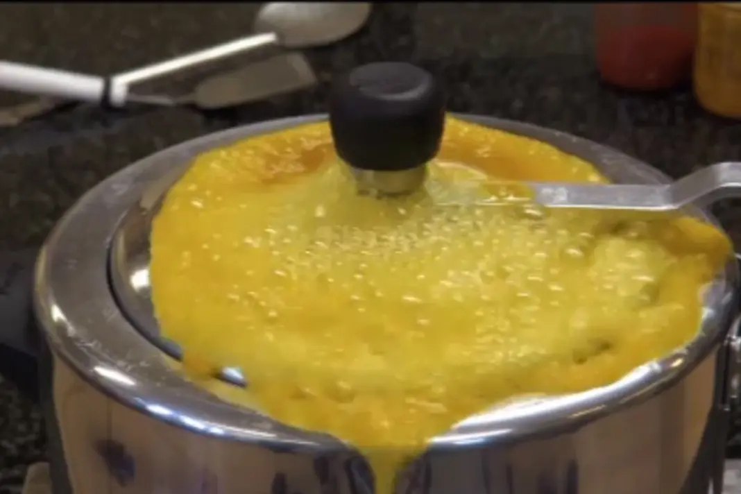 Pulse Starch Pressure Cooker