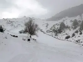 Weather Update January 11 2026