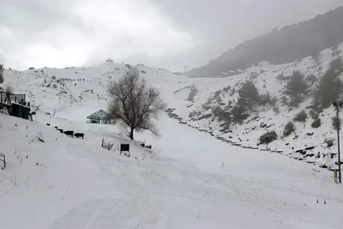 Weather Update January 11 2026