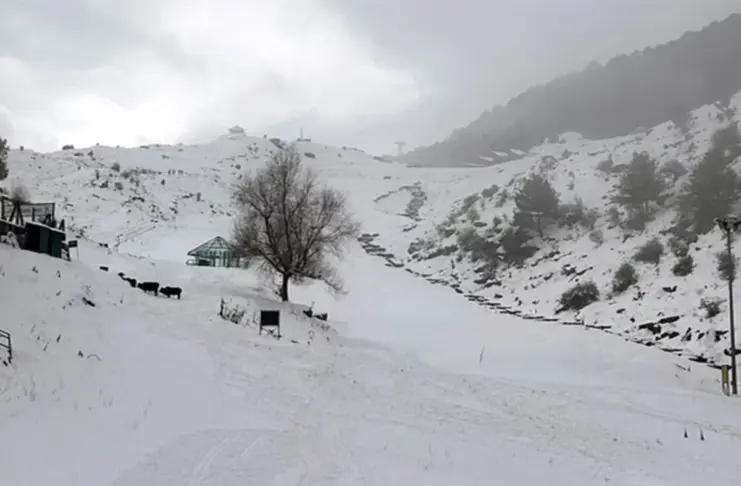 Weather Update January 11 2026