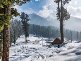 Weather Update January 16 2026