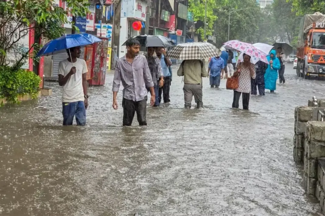 Weather Update January 31 2026