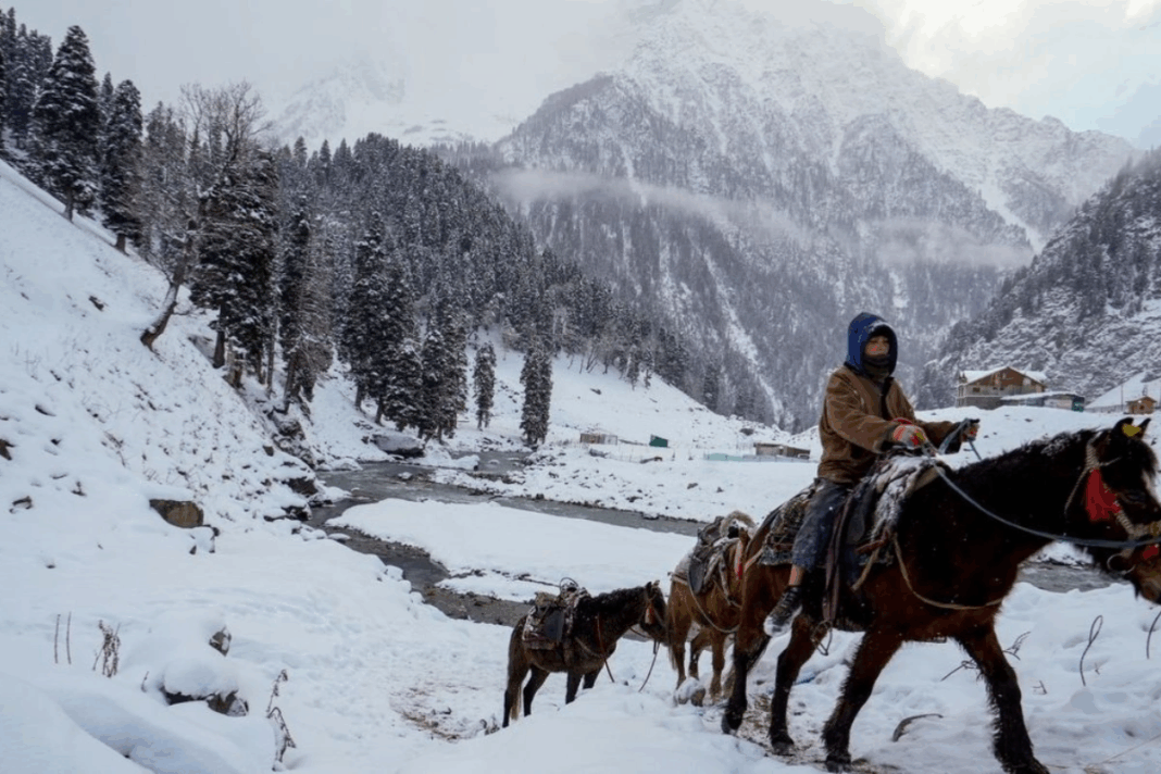 Weather Update January 8 2026