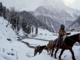 Weather Update January 8 2026