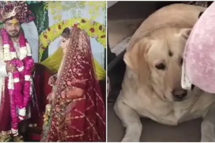 Fatehpur Viral Video