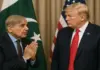 “Unites States of Americas,” Shehbaz Sharif Becomes a Laughing Stock on World Stage During Gaza Board of Peace Meeting, Check Why? Shehbaz Sharif