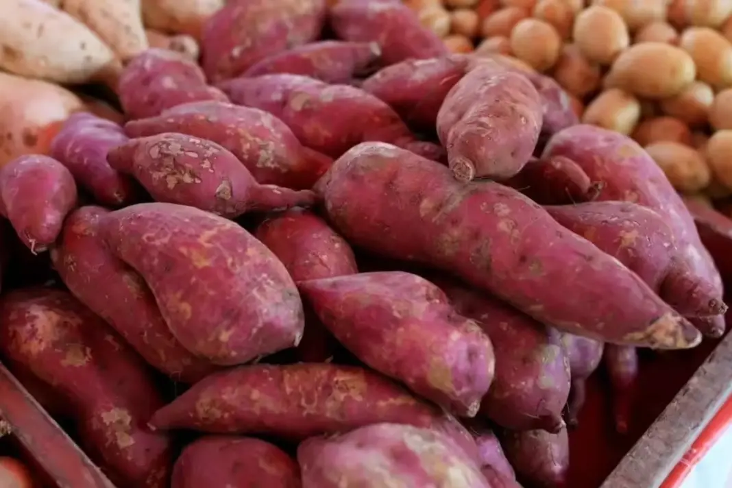 Sweet Potatoes Benefits