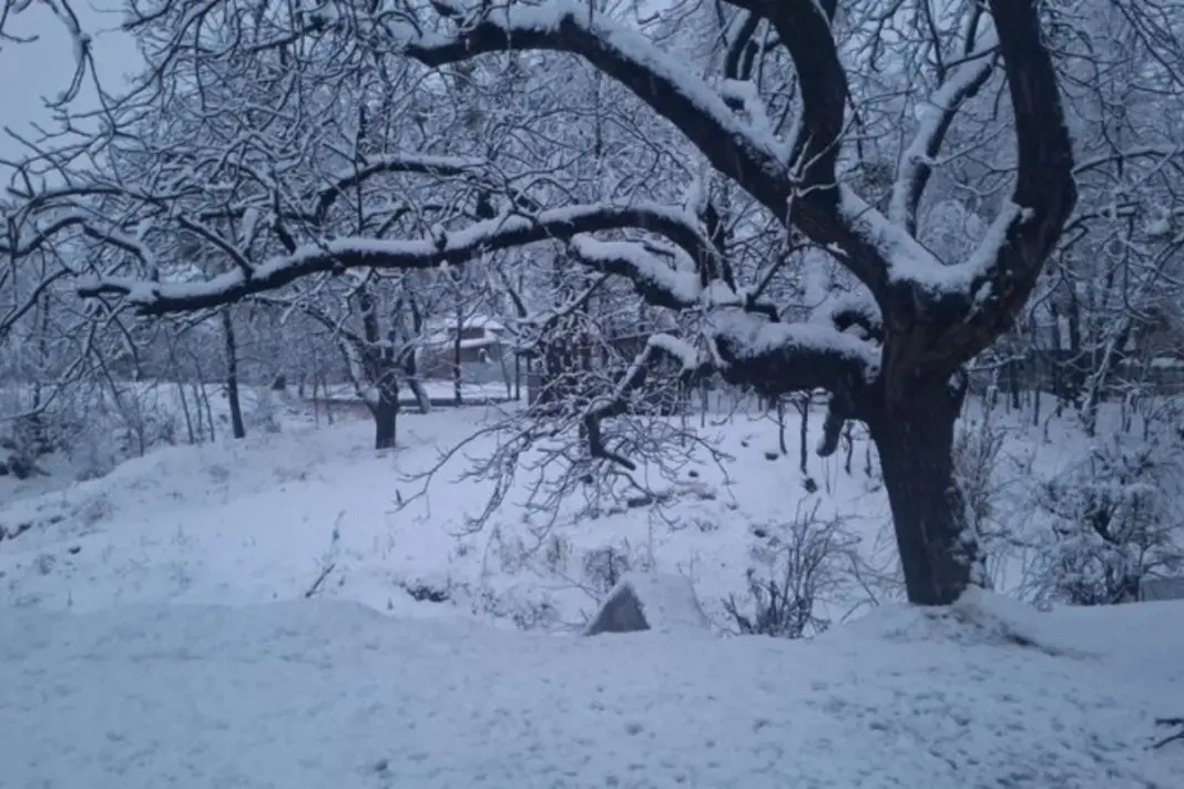 Weather Update February 10 2026