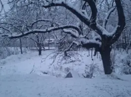 Weather Update February 10 2026