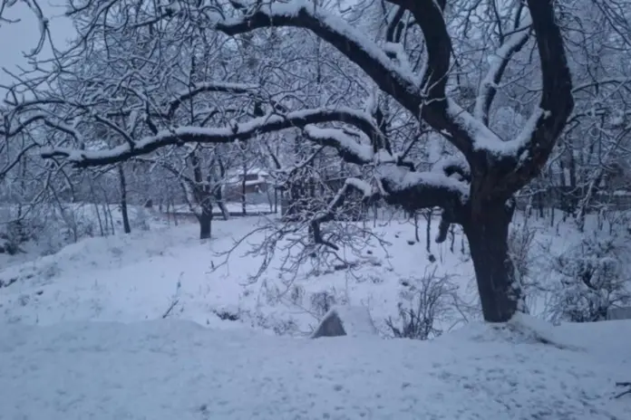 Weather Update February 10 2026