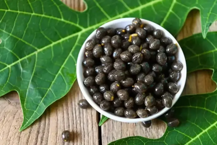 papaya seeds extract