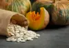 Pumpkin Seeds: Science-Backed Benefits Uncovered, Myths Busted! Women’s Health Practitioner Shares Surprising Details pumpkin seeds