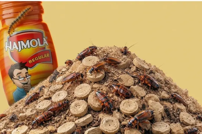 Dabur Hajmola Test Results