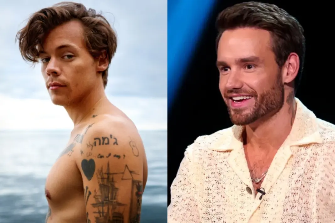 Harry Styles and Liam Pyne Death