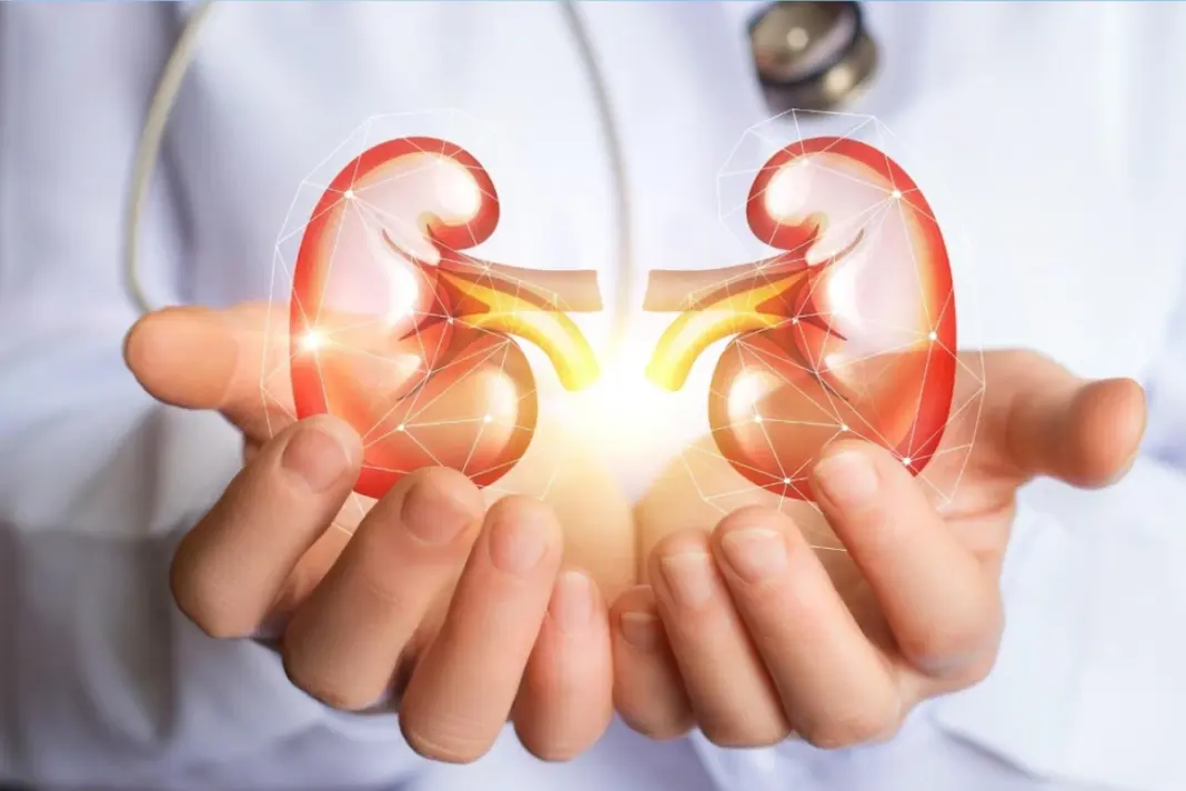 Kidney Health
