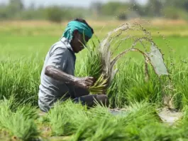 PM Fasal Bima Yojana