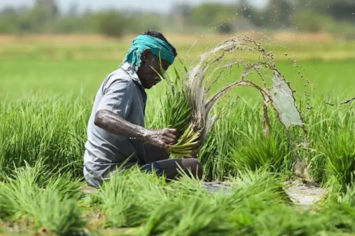 PM Fasal Bima Yojana