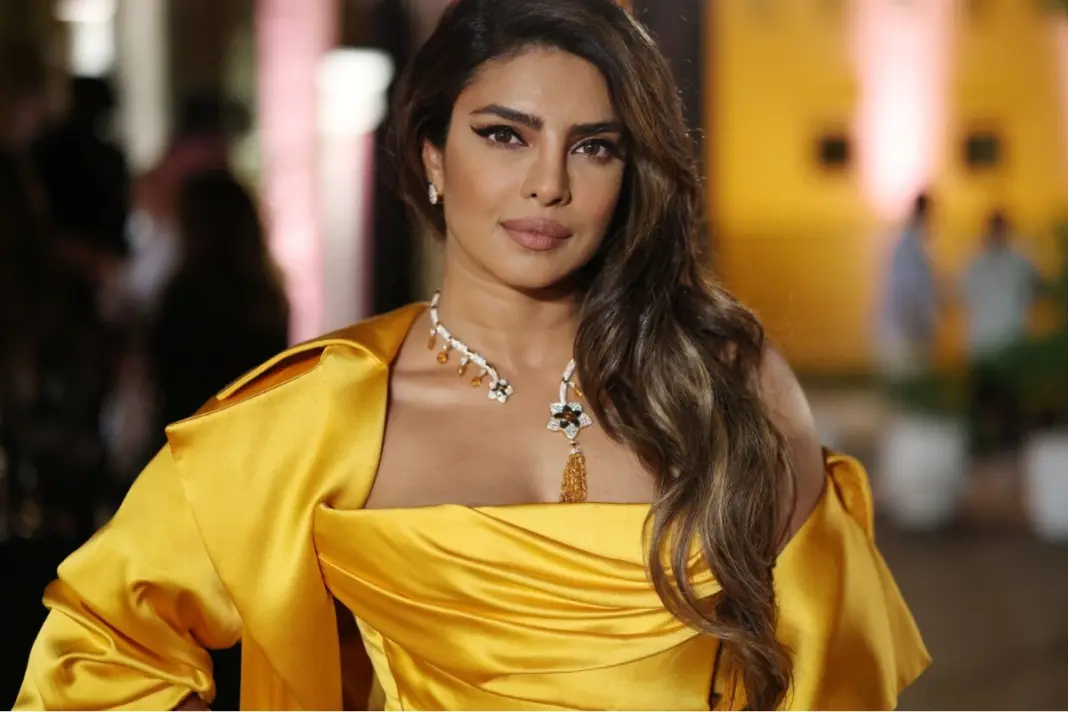 Priyanka Chopra Trolled For Bollywood is shit comment