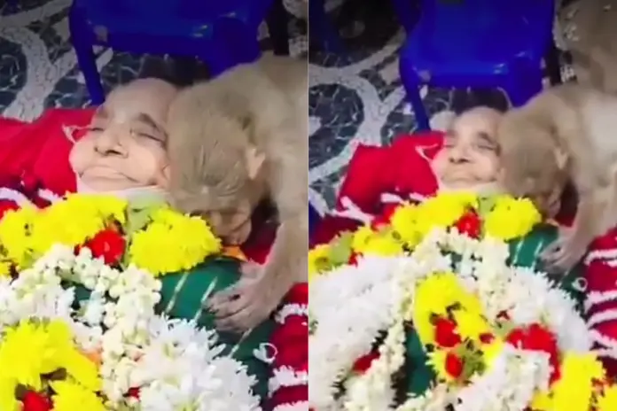 Bengaluru- Viral- Video