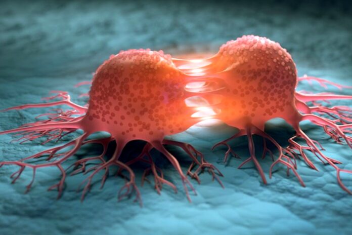 Can You Really Starve Cancer Cells To Death Doctor Breaks Silence On Viral Claim