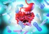 Metabolic Health: Do Bacteria Really Eat Your Gut’s Lining? Gastroenterologist Spills Terrifying Facts! Metabolic Health