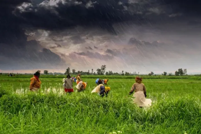 Monsoon- Rainfall Monsoon- Rainfall