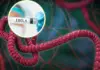Rajasthan Health Department on Alert After Suspected Ebola Case Reported at Jaipur Airport Ebola Outbreak -Should India Worry
