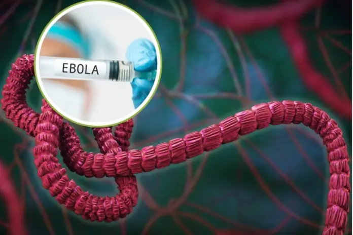Ebola Outbreak -Should India Worry