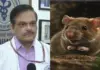 Hantavirus: WHO Sends Shivers, Says Hantavirus More Lethal Case-By-Case Than COVID-19! AIIMS Doctor Shares Observations On Zoonotic Disease Hantavirus