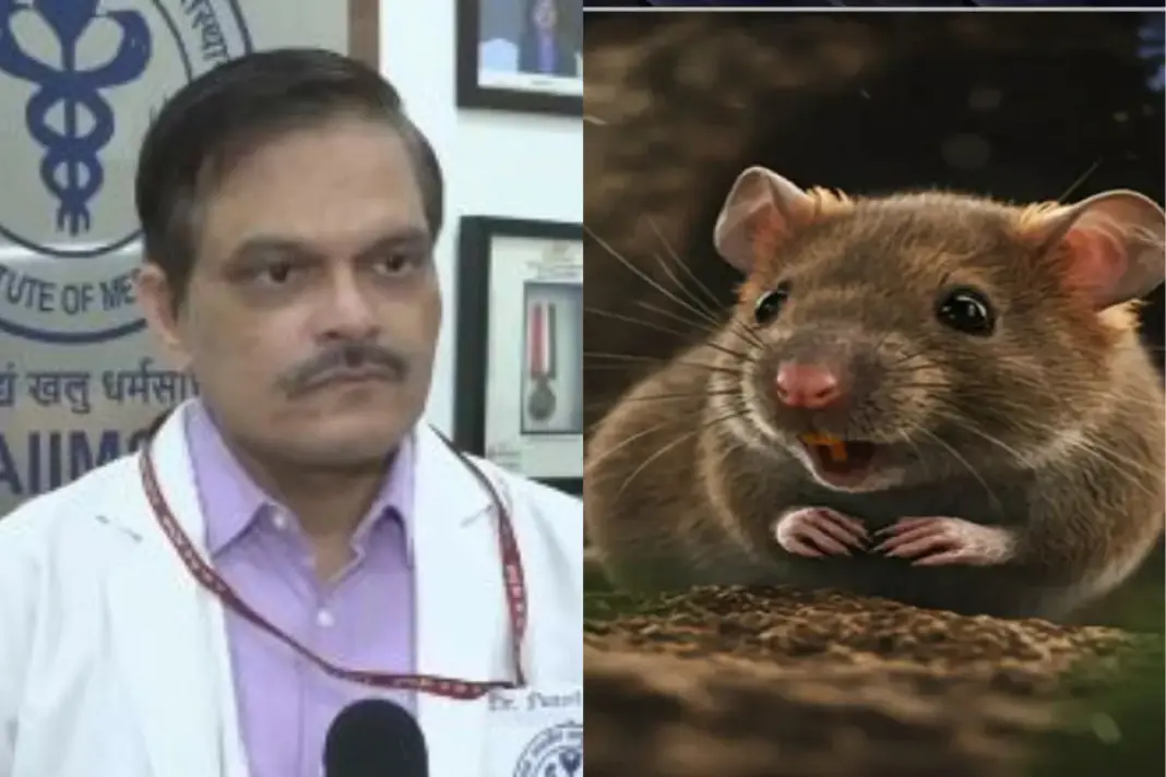 Hantavirus