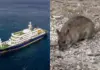 Hantavirus Outbreak: Rare Zoonotic Virus Strikes! Sends Shockwaves Worldwide, Health Experts Alarmed Hantavirus Outbreak
