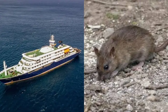 Hantavirus Outbreak