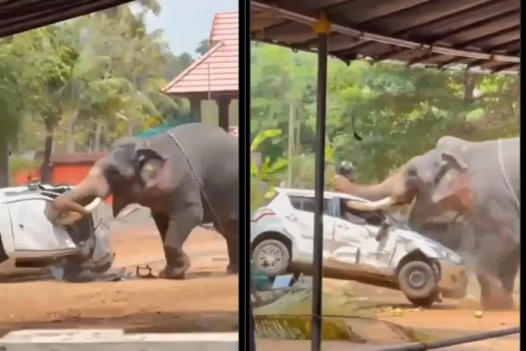 Keralam Viral Video