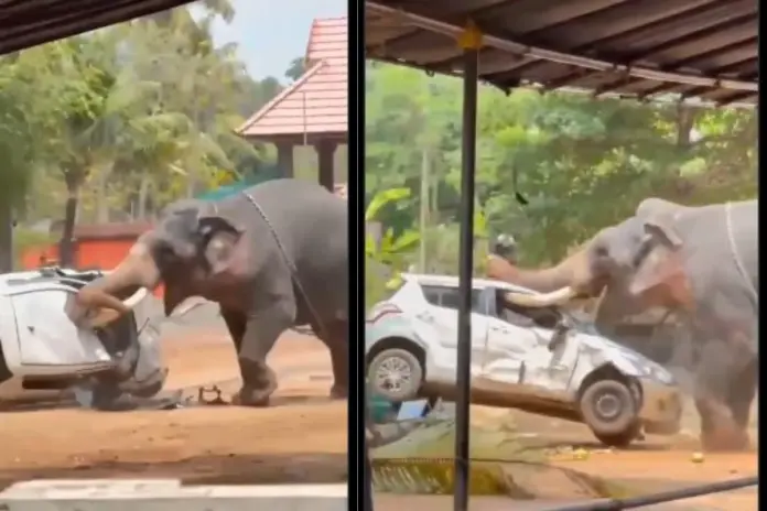Keralam Viral Video
