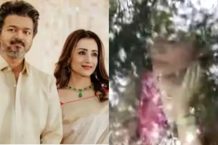 Trisha Krishnan Viral Video Thalapathy Vijay