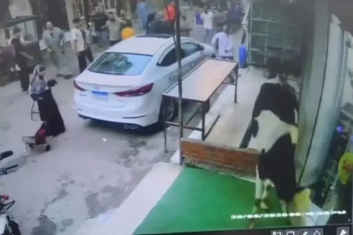 Viral-Video
