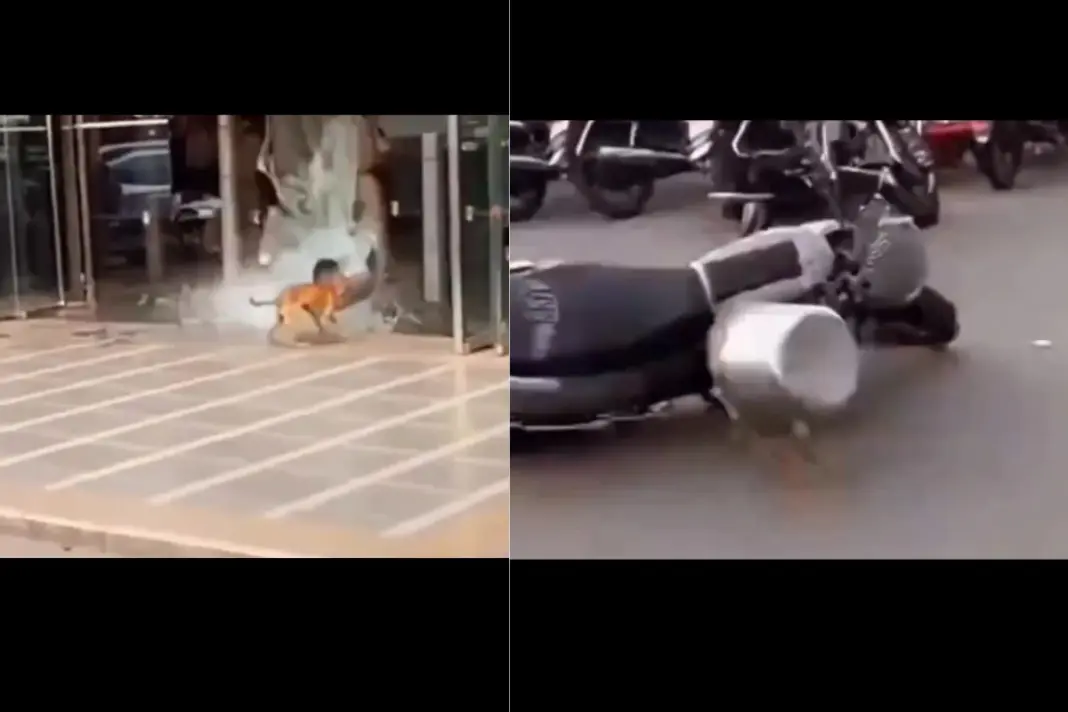 Viral- Video