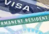Green Card Debate Heats Up! Proposed H-1B Visa Changes Could Upend America’s Skilled Workforce Model, Impact On Indians Explained Green- Card