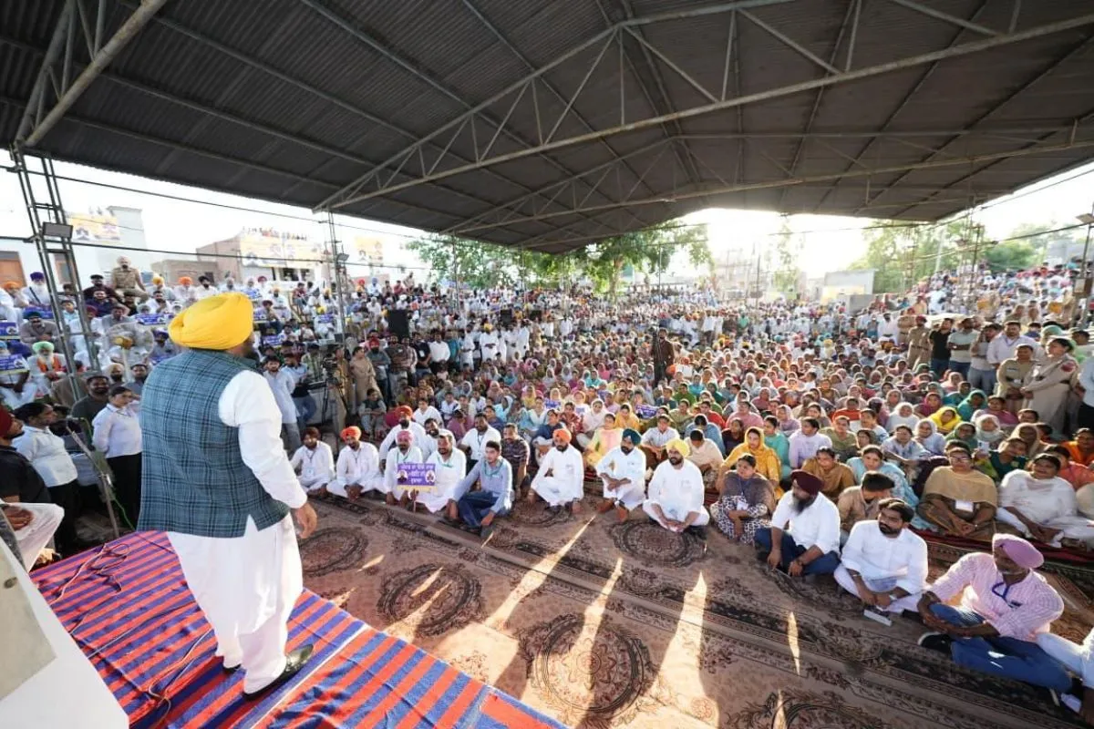 Punjab news Punjab news